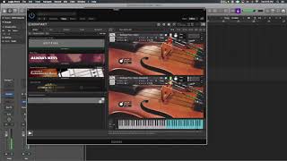 In Depth Look at Redtape Pizz Pizzicato Strings by REDTAPE SAMPLES [upl. by Tabshey892]