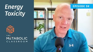 Energy Toxicity and Insulin Resistance with Dr Ben Bikman [upl. by Mok315]