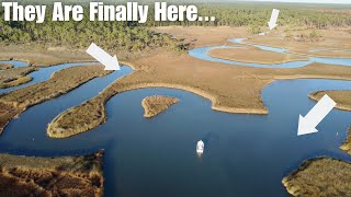 This MAZE River System Was LOADED With Fish [upl. by Tor688]