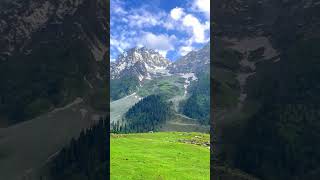 Mera man kashmiritourism kashmirtravel love bolywoodmusic music song [upl. by Antrim293]