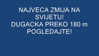 NAJVECA ZMIJA NA SVIJETU DUGACKA CAK 180 m POGLEDAJTE [upl. by Cassella]