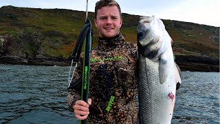 Spearfishing BIG BASS with the Salvimar Hero 115 [upl. by Winzler]