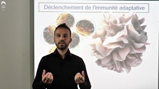 Cellules présentatrices de lantigène et déclenchement de limmunité adaptative [upl. by Anilys]