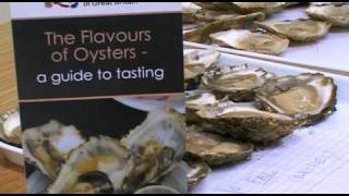 Oyster Tasting Guide [upl. by Nahgem167]