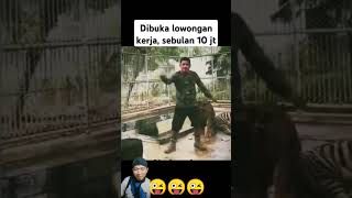 Dibuka lowongan kerja gajih 10 jt perbulan [upl. by Matty890]