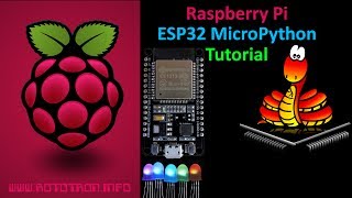 ESP32 MicroPython Tutorial with Raspberry Pi [upl. by Elda]