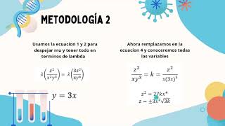 Proceso de Haberbosch Obtención de amoniaco [upl. by Nnylirak]