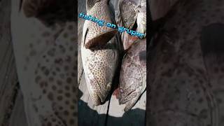 grouper fish recipe [upl. by Briana134]