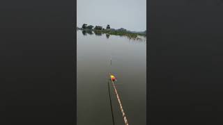 Hook fishing  fishing usafishing villagefishing amazingfishing uniquefishing [upl. by Atnahsal]