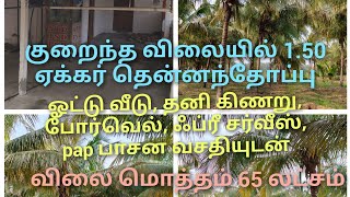 குறைந்த விலையில் ஓட்டு வீடுகிணறுபோர்வெல்சர்வீஸ்pap பாசனத்துடன் 150 ஏக்கர் தென்னந்தோப்பு [upl. by Tomlin]