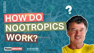 How do nootropics work [upl. by Menedez]