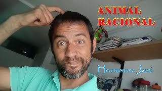 ANIMAL RACIONAL  Hermano Javi [upl. by Yelnats]