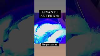 Levante anterior [upl. by Arlene]