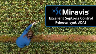 MIRAVIS® Excellent Septoria Control [upl. by Netsirt201]