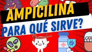 AMPICILINA  ¿PARA QUÉ SIRVE [upl. by Krock]