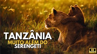 Tanzânia Muito Além do Serengeti animals wildlife documentary safari [upl. by Ecirtahs]