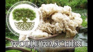 Wolle waschen Wollwäsche mit Rohwolle vom Schaf  Spinnereien mit Wolle [upl. by Melicent]