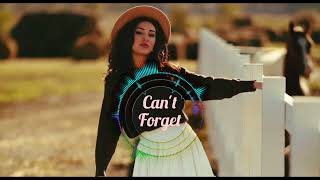 Ayla Music  Cant Forget Remix  BY Celal AY [upl. by Eyatnod]