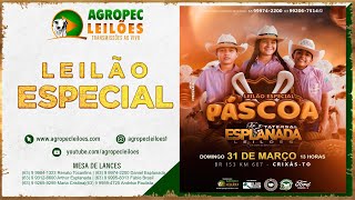 agropecleiloescom LEILÃO ESPECIAL PÁSCOA  ESPLANADA LEILÕES  CRIXÁSTO 31032024 [upl. by Loredana757]