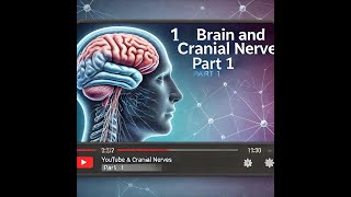 AampP 1 Lecture Brain amp Cranial Nerves Part 1 [upl. by Arul]