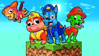 ¡PAW PATROL EN SKYBLOCK [upl. by Imim3]