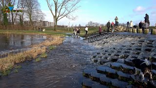 Retentiegebied in Hardenberg loopt vol met overtollig vechtwater [upl. by Curkell869]