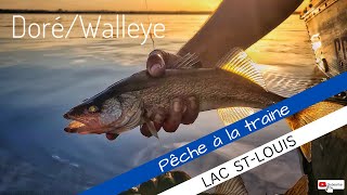 GARS DLAC  Session de pêche au doré lac StLouis [upl. by Ahtrim309]