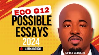 Possible Essays 2024  Economics Grade 12 by Carden Madzokere TDBS [upl. by Haldan697]