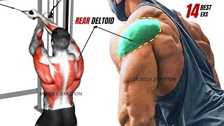 13 BEST REAR DELTOID EXERCISES WITH CABLE ONLY AT GYM [upl. by Enom]