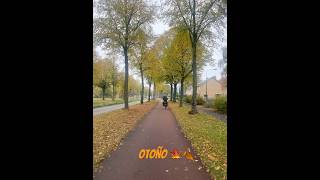 otoño fyp viralvideo [upl. by Akayas]