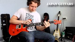 PRS SE Custom 24 Made In Korea 2011год [upl. by Annovy162]