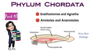 Part10 What are Gnathostomes amp AgnathaDifference between Anamniotes and AmniotesMSc BSc Zoology [upl. by Gazo]