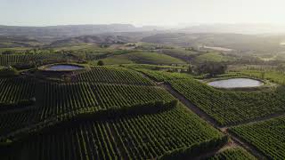 winelands during sunset in south africa [upl. by Neelrahs]