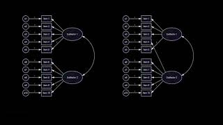 Configural invariance [upl. by Annasiul]