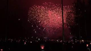 New Year  Celebrations  Zurich  Switzerland  welcomes in 2019 [upl. by Retsof]