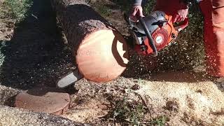 Stihl 461 vs Husqvarna 372 vs Dolmar 7910 vs Makita 7900 chainsaw [upl. by Nnylarak]