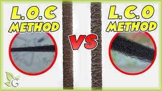 LOC or LCO which is better for your hair’s porosity [upl. by Elamor]