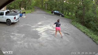 Brave Woman Runs After Mama Bear Chasing Down Her Dog [upl. by Rains]