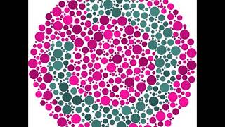 Color blind test as a color blind people see [upl. by Nuahsak]