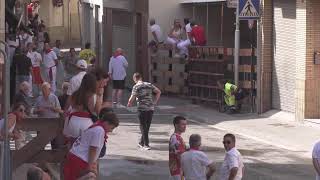 Encierro Fiestas 2024  San Adrián [upl. by Onivla]