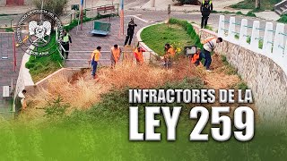 INFRACTORES DE LA LEY 259 [upl. by Rexanna]