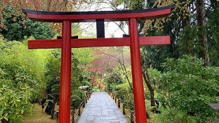 A Walk in a Japanese Garden [upl. by Alida]