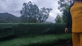 Orillia resort kasauli [upl. by Arch939]