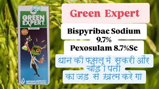 Green Expert Herbicide Bispyribac Sodium 95Pexosulam 78 SCpaddy [upl. by Ecinom]