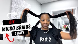 DIY Micro Braids in 3 Days Part 2 [upl. by Brendis137]