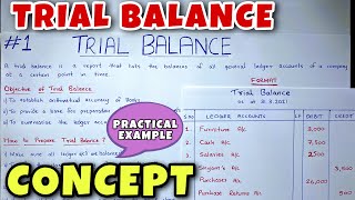 Trial Balance  Concept amp Problem  Class 11  BCOM  CA Foundation [upl. by Hatfield]