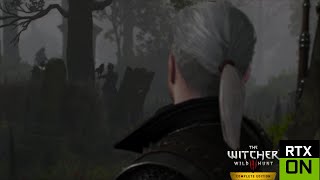 Heavily Modded Witcher 3 Blood and Wine Gameplay [upl. by Seaver]