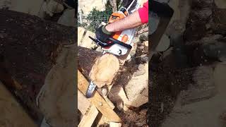 la motosega stihl più potente a batteria STIHL MSA 300 [upl. by Harold]