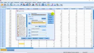 Colinealidad con SPSS [upl. by Ycnay]