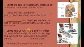 Skeletal System PowerPoint Movie [upl. by Moll]